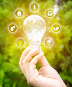 ESOS Compliance Specialists